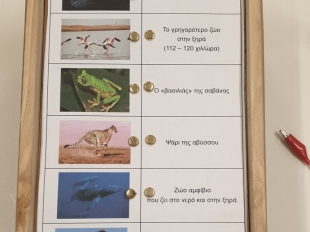 Κατασκευές Ε΄ τάξη: Ηλεκτρισμός - Παιχνίδια