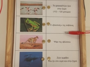 Κατασκευές Ε΄ τάξη: Ηλεκτρισμός - Παιχνίδια